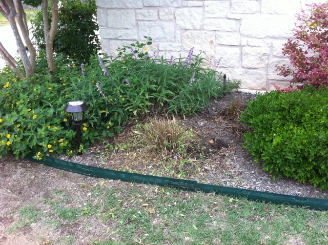 2012/00(Landscaping)/640x480_2012-04-30-6607 Conifer Cove-63.jpg